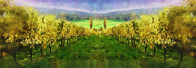 法國(guó)小木桐干紅葡萄酒2011(木桐副牌)