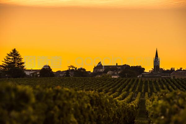 圣埃米利葡萄園日出,波爾多葡萄酒