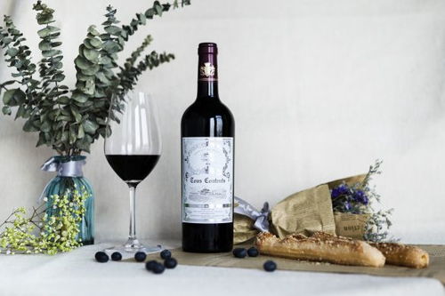 風味人間一場醉 法國葡萄酒的醇香之旅